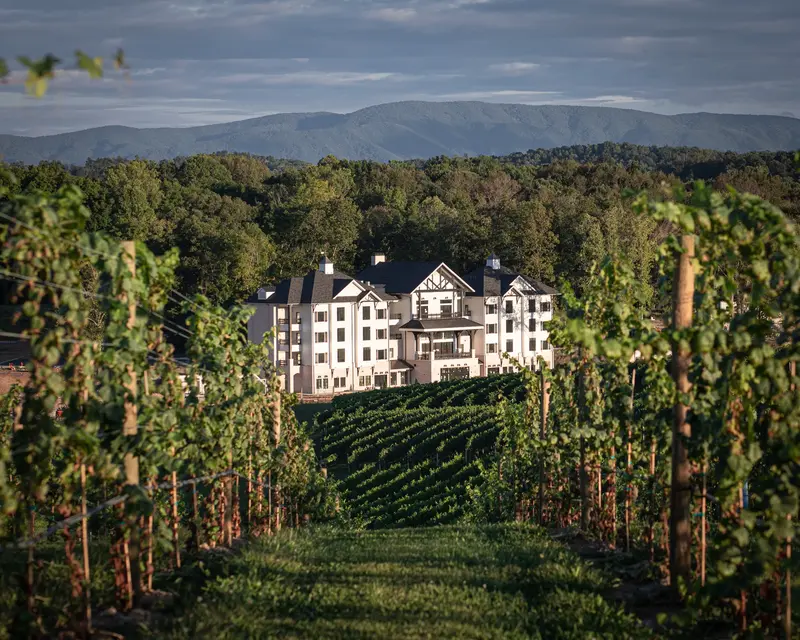 Nicewonder Inn and vineyard