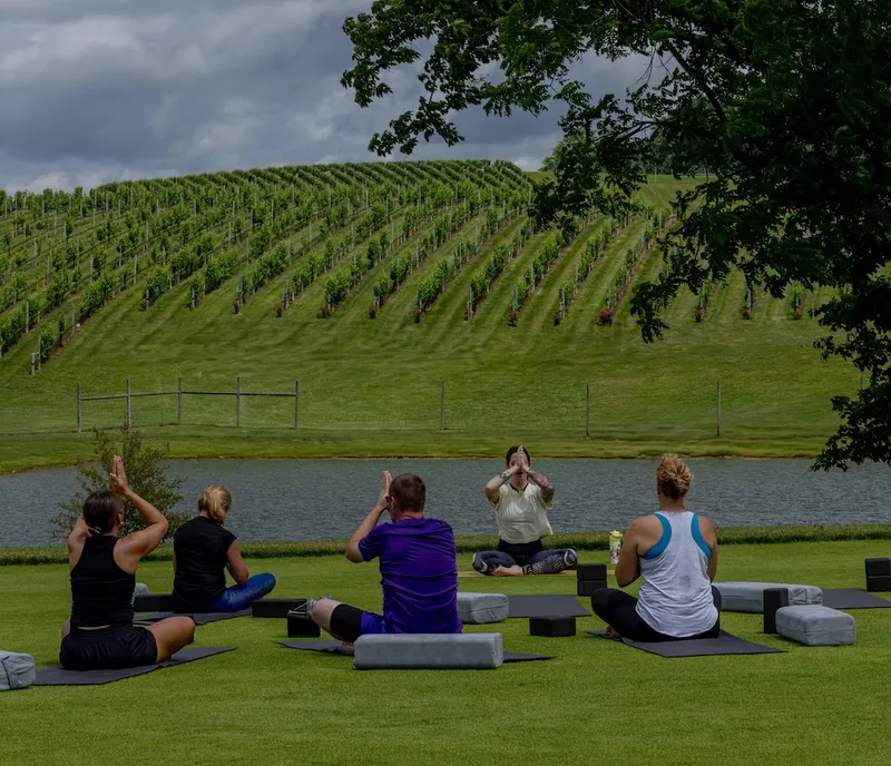 people doing dog yoga at Nicewonder